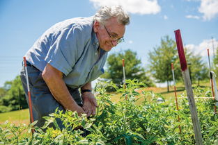 83岁捡废品老人花光拆迁款买保健品，一场迟来的健康梦与沉痛警示